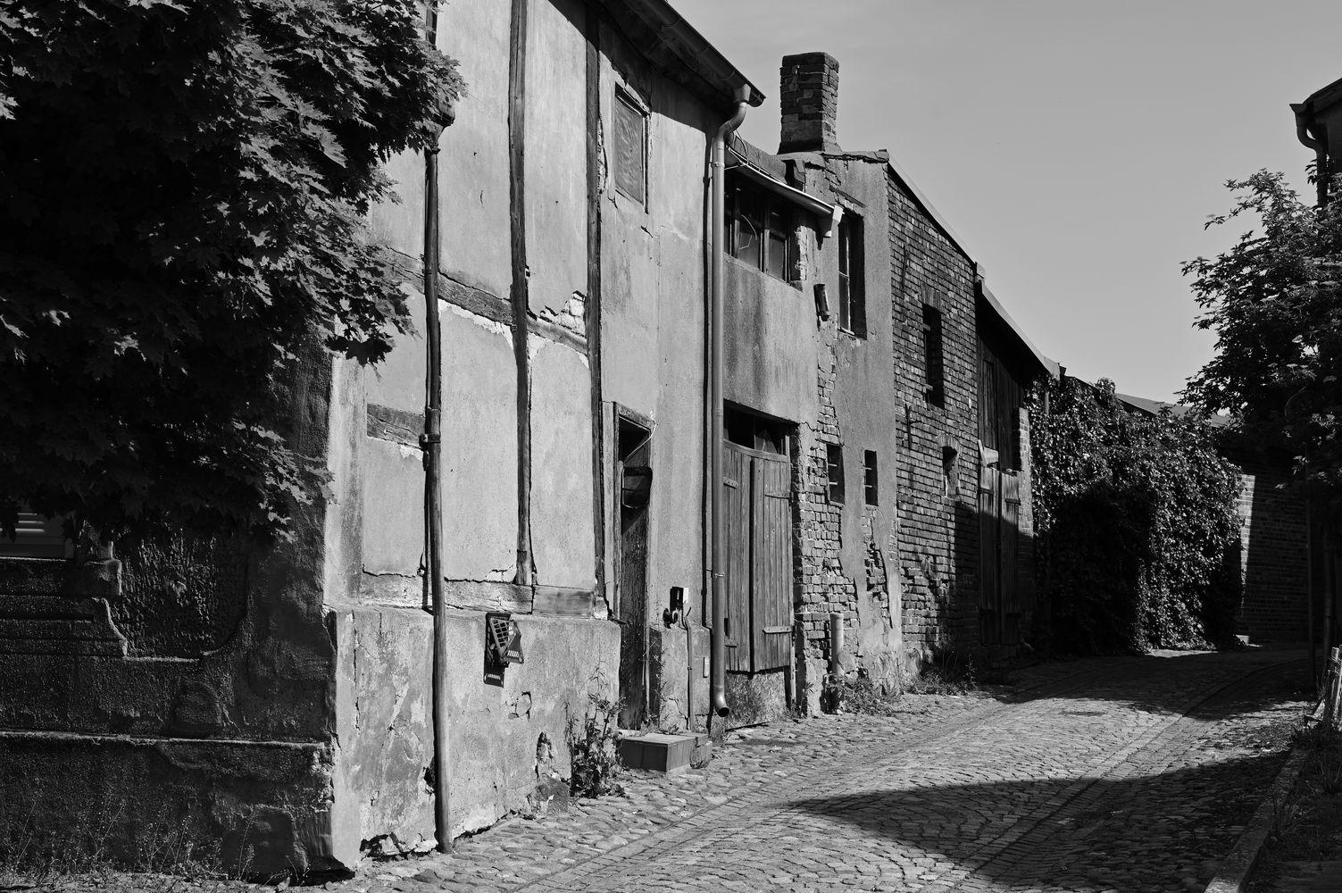 DSC_3339
