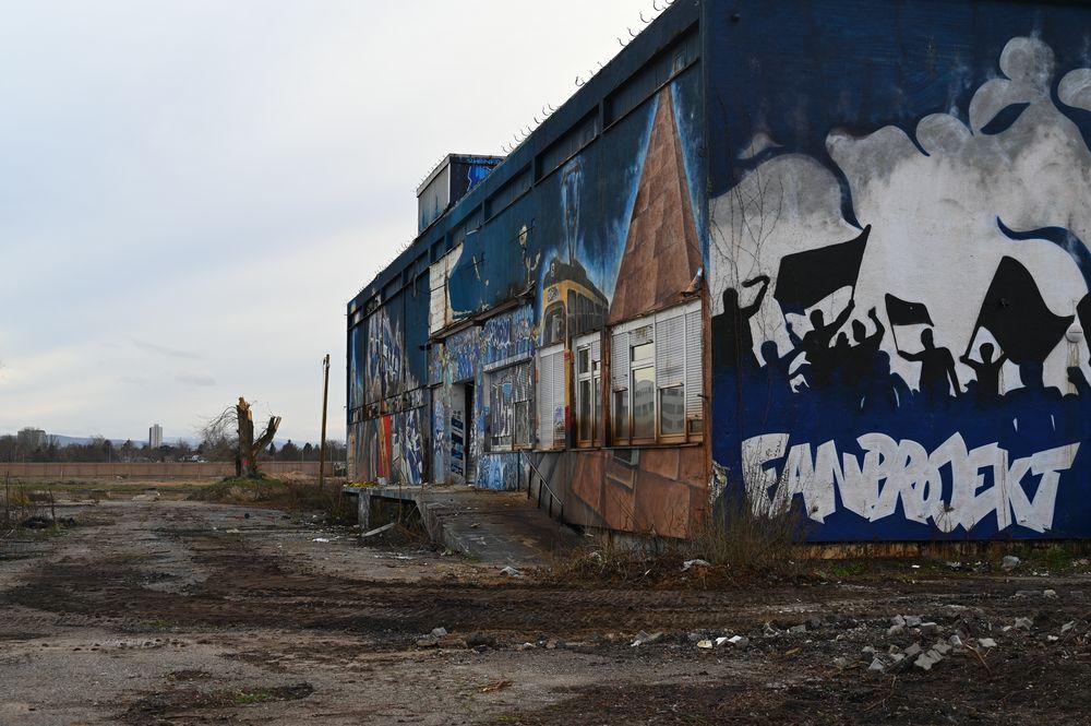 DSC_4406