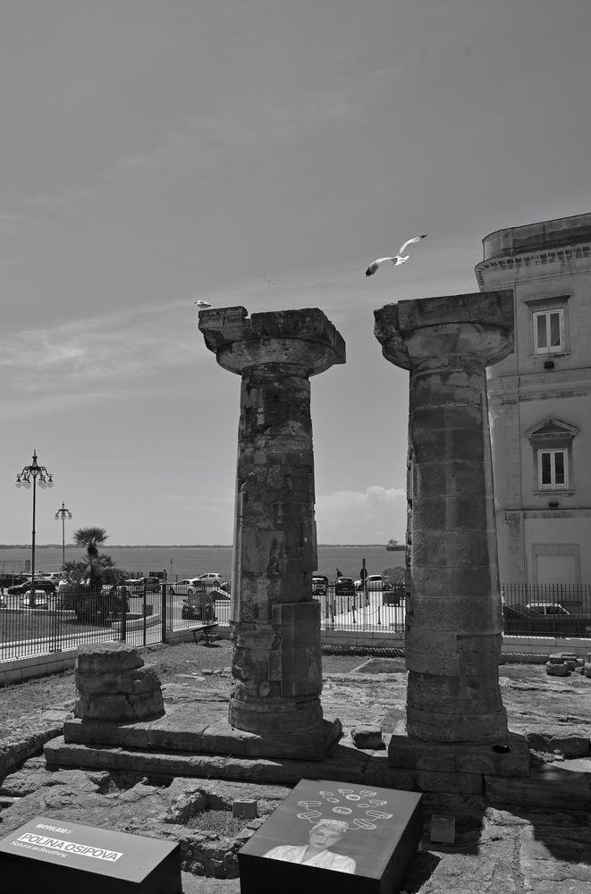 DSC_5654