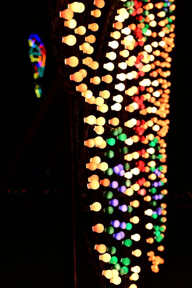DSC_6219