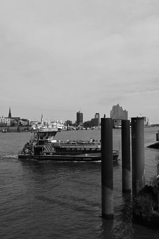 DSC_6305