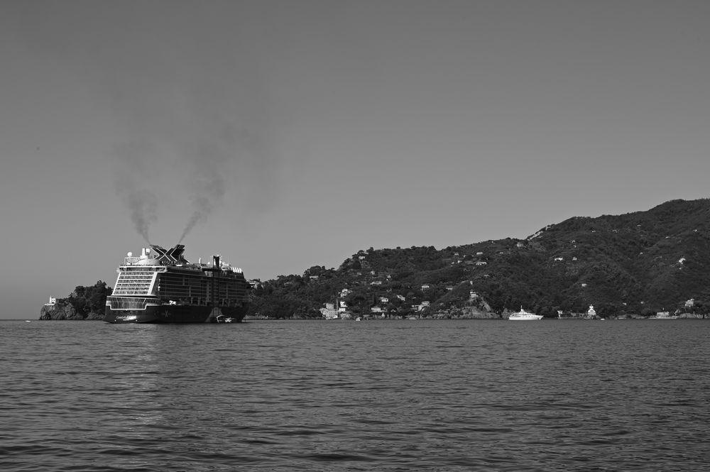 DSC_6393
