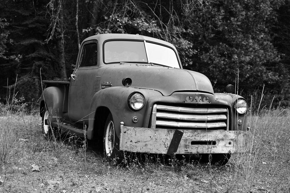 DSC_6892-shelby