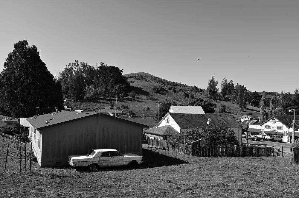 DSC_7036-shelby