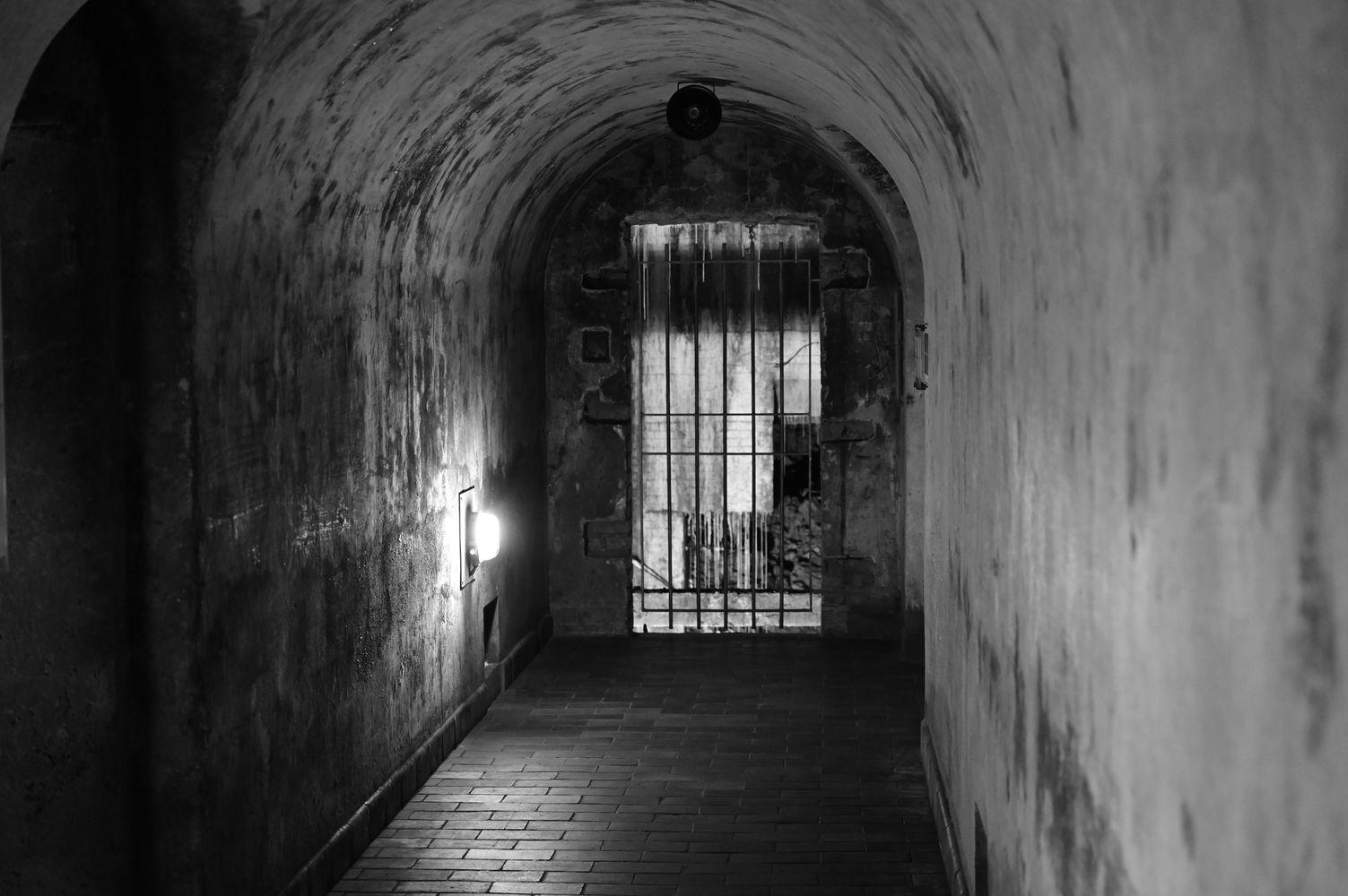 DSC_2225 (2)