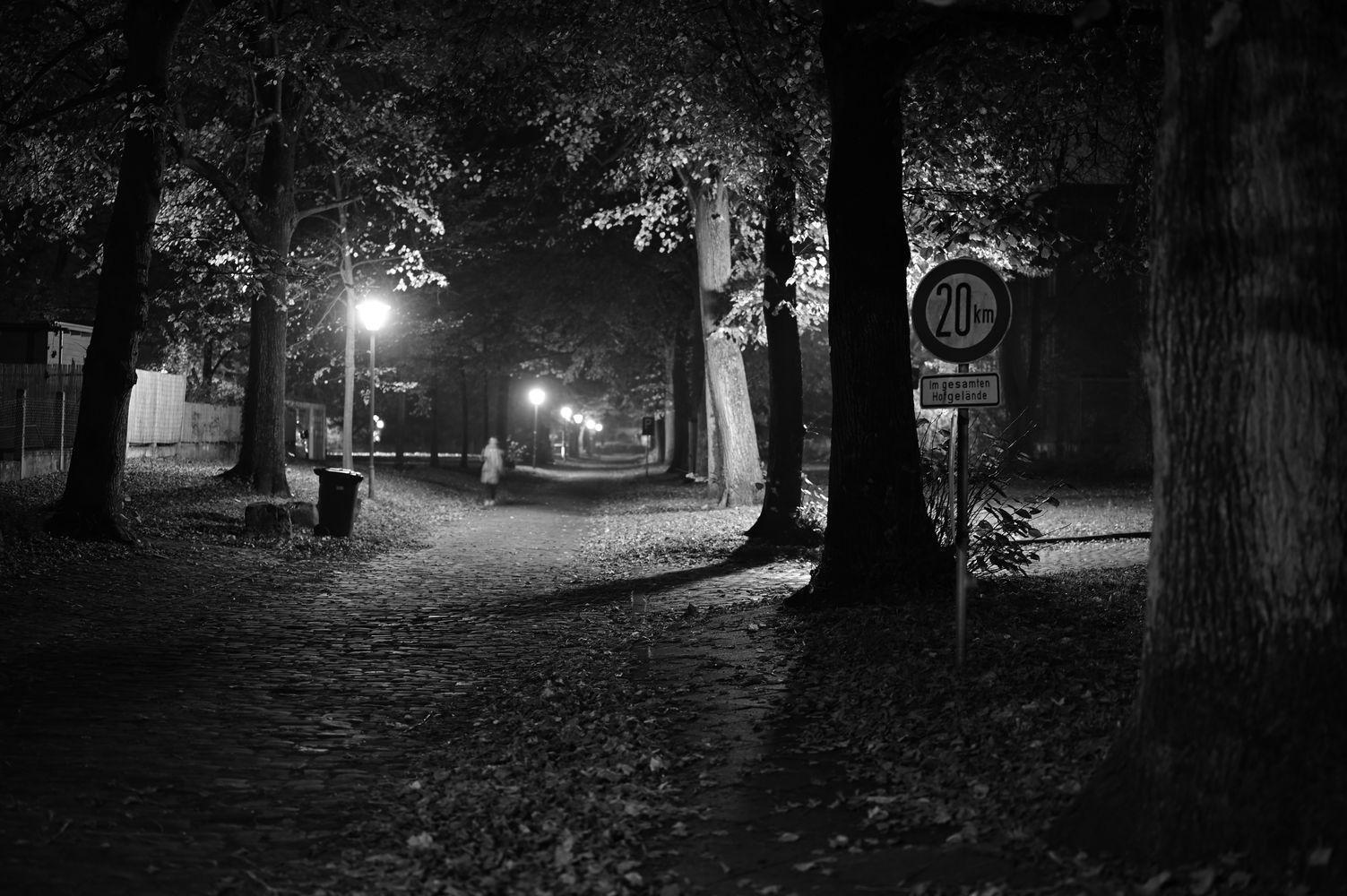 DSC_0872