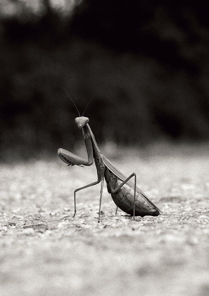 72000017_A4