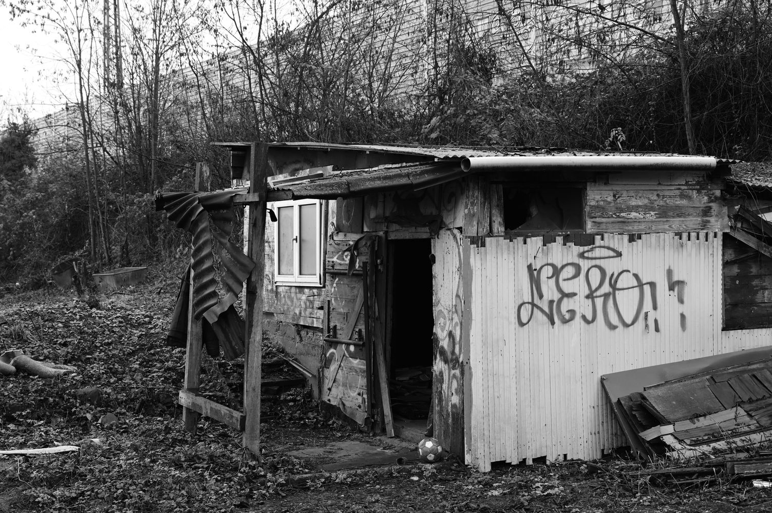 DSC_0932