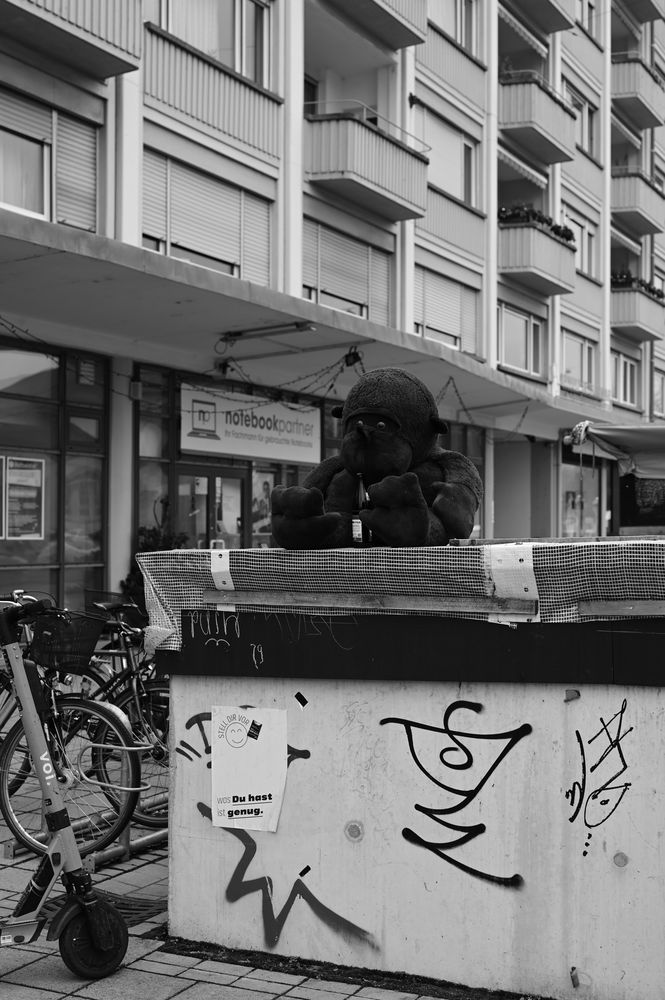 DSC_0938