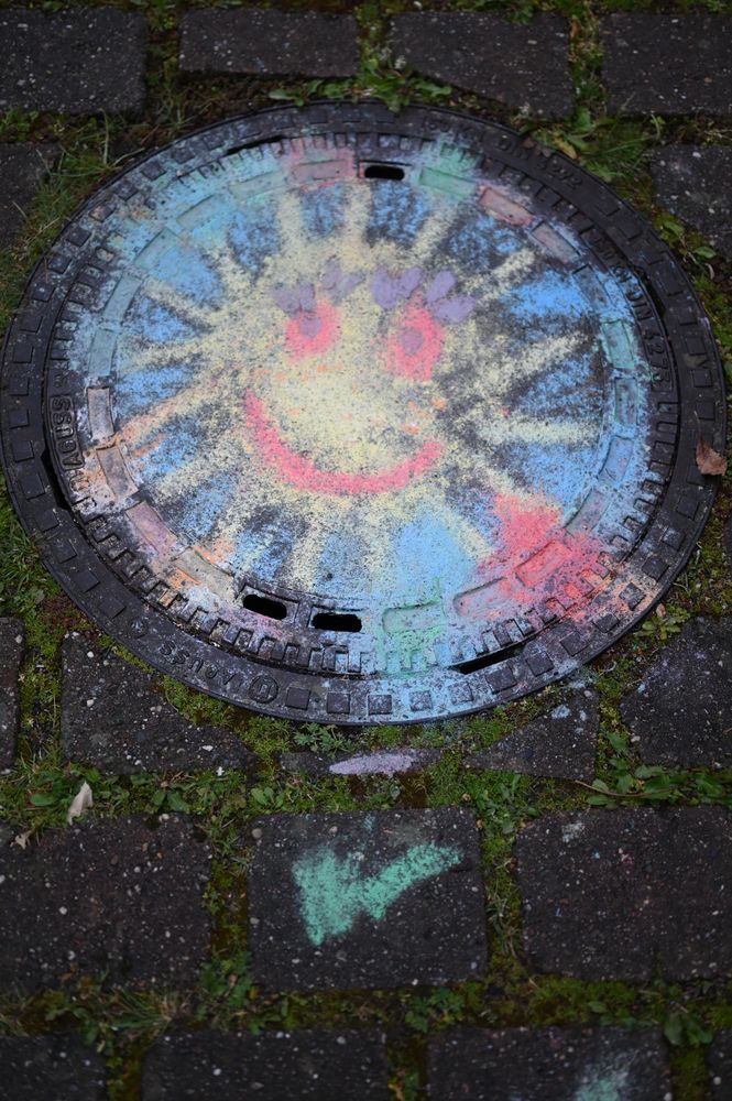 DSC_1551