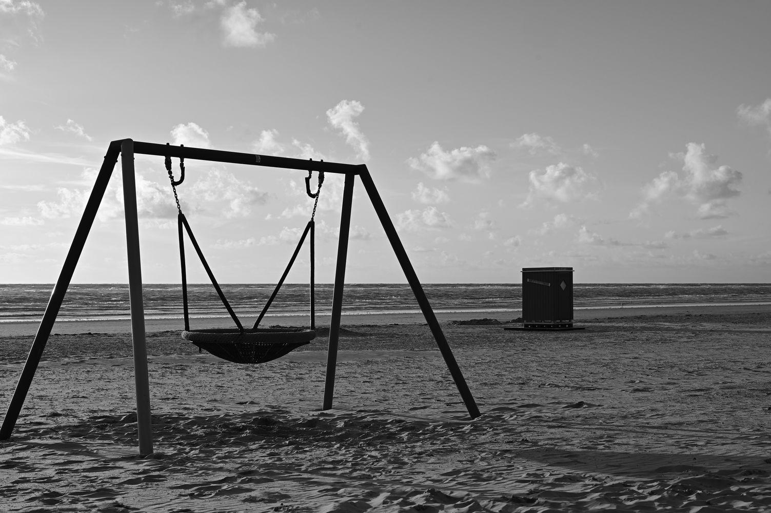 DSC_3535