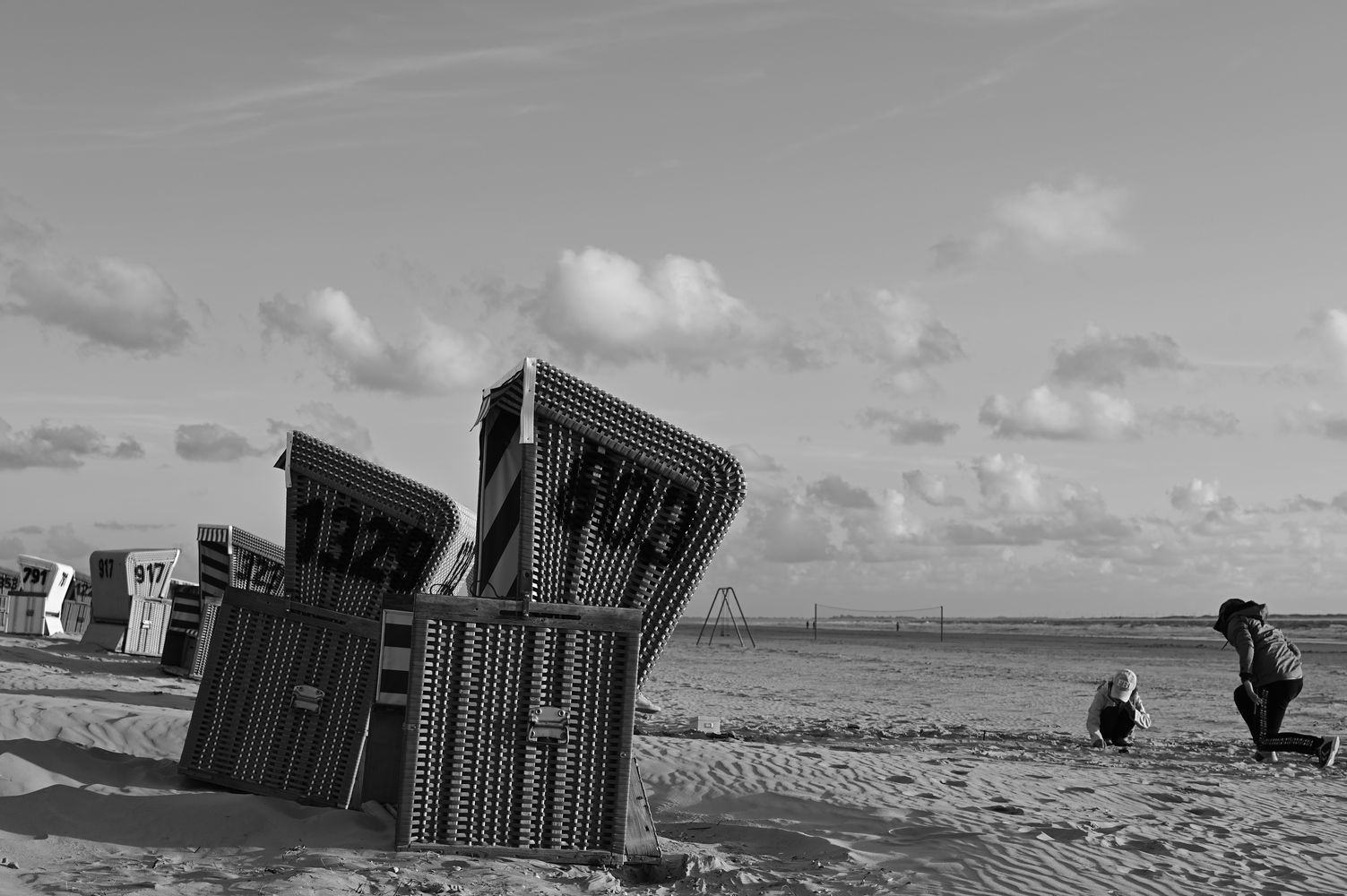 DSC_3536