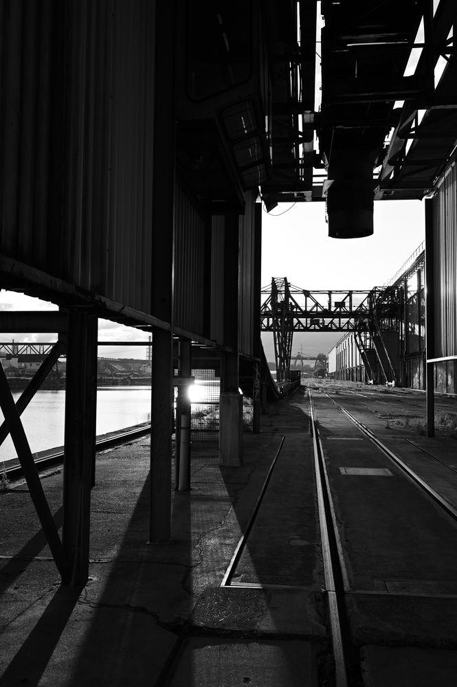 DSC_1678