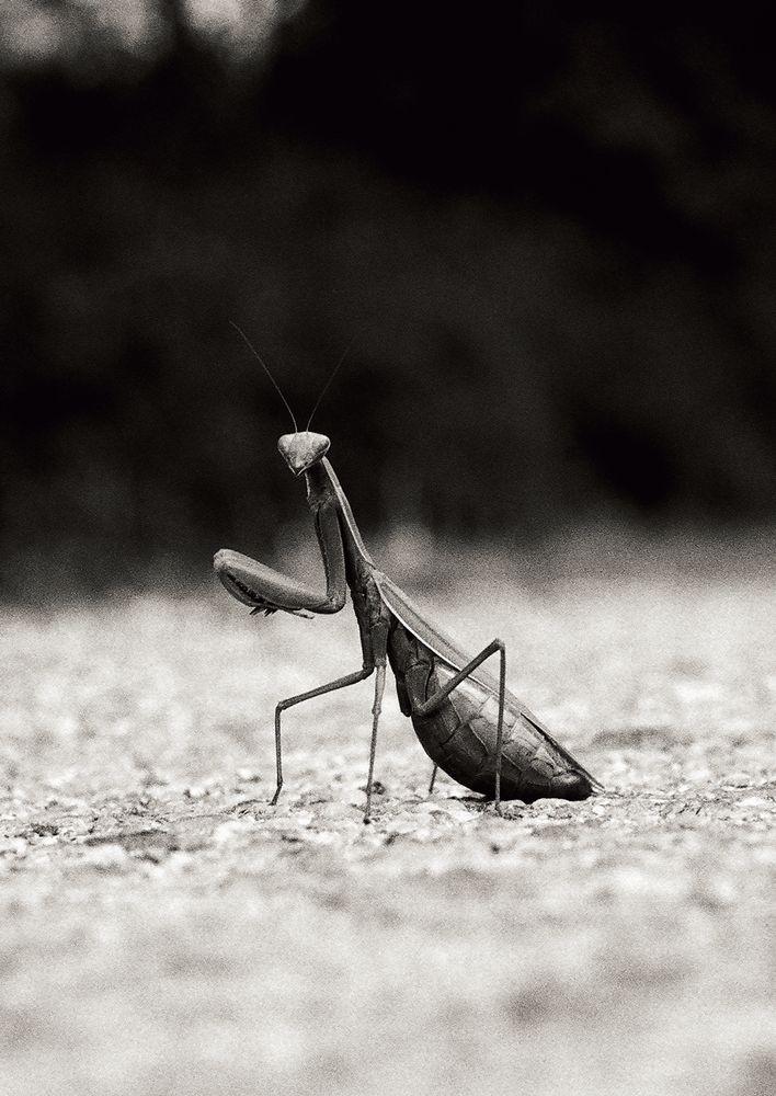 72000017_A4