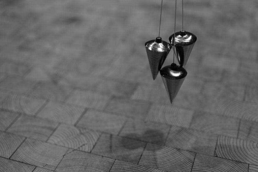 DSC_5955