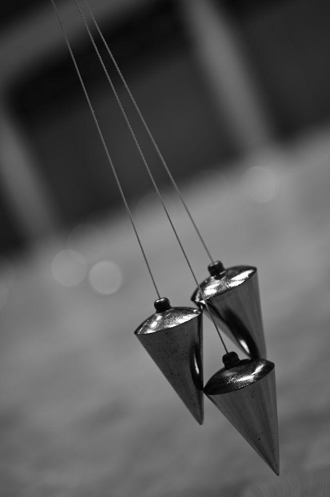 DSC_5958